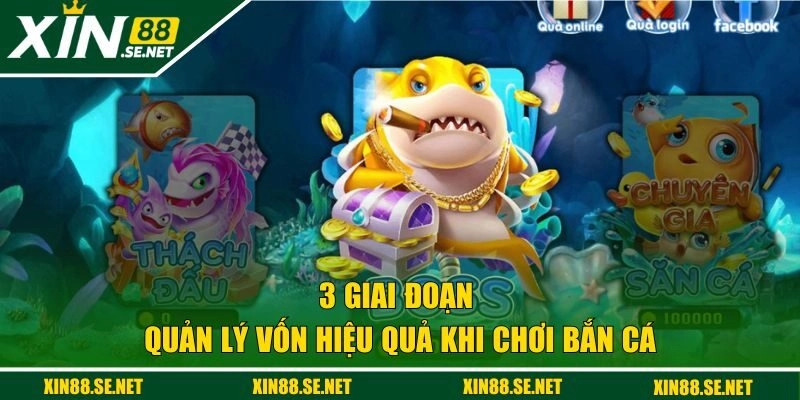 3 giai đoạn quản lý vốn hợp lý khi chơi bắn cá 