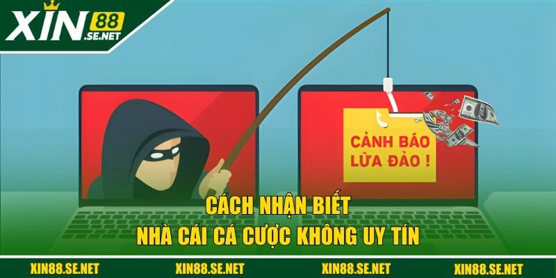 Cách nhận biết web cược lừa đảo